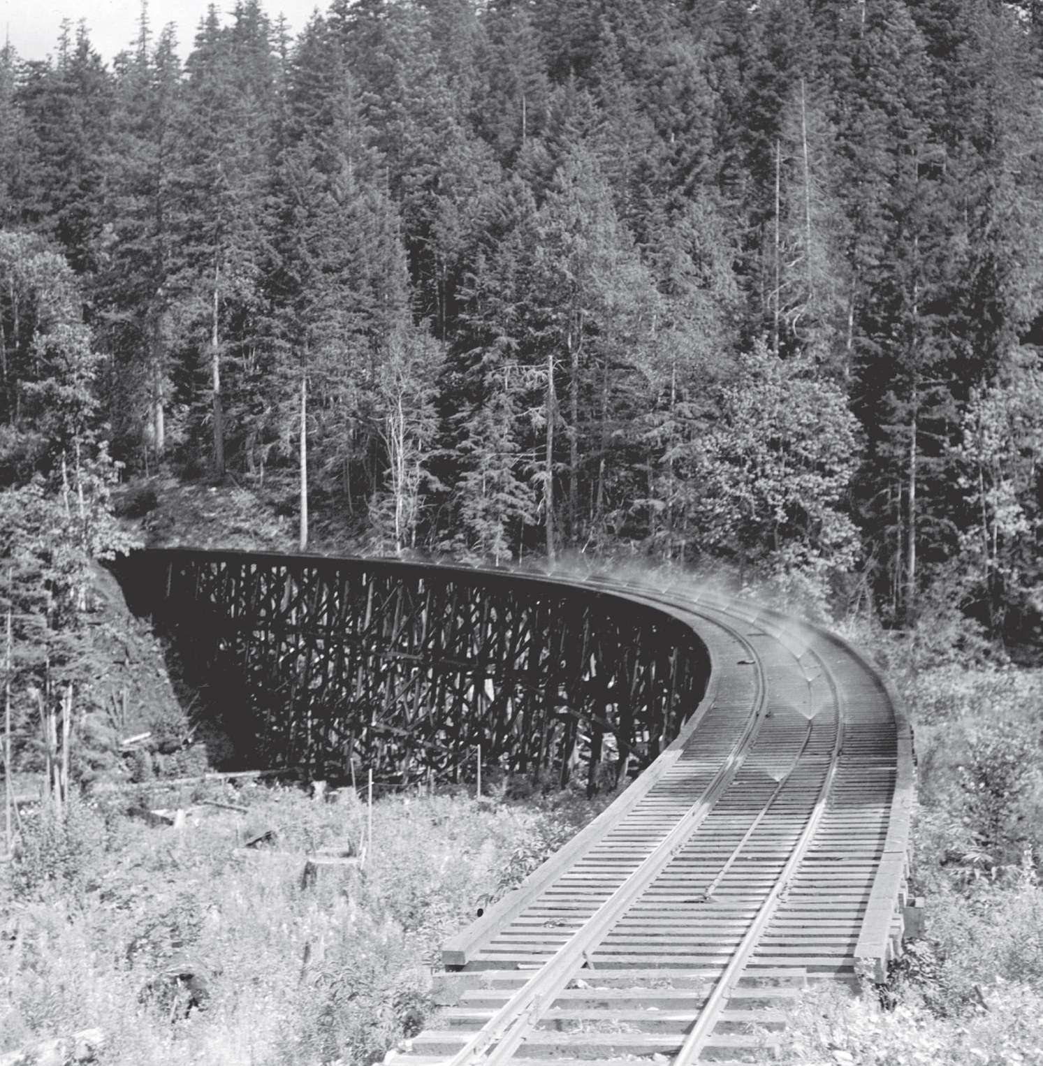 trestle bridge made of timber